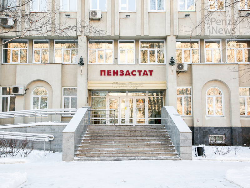    © Фото из архива ИА «PenzaNews»