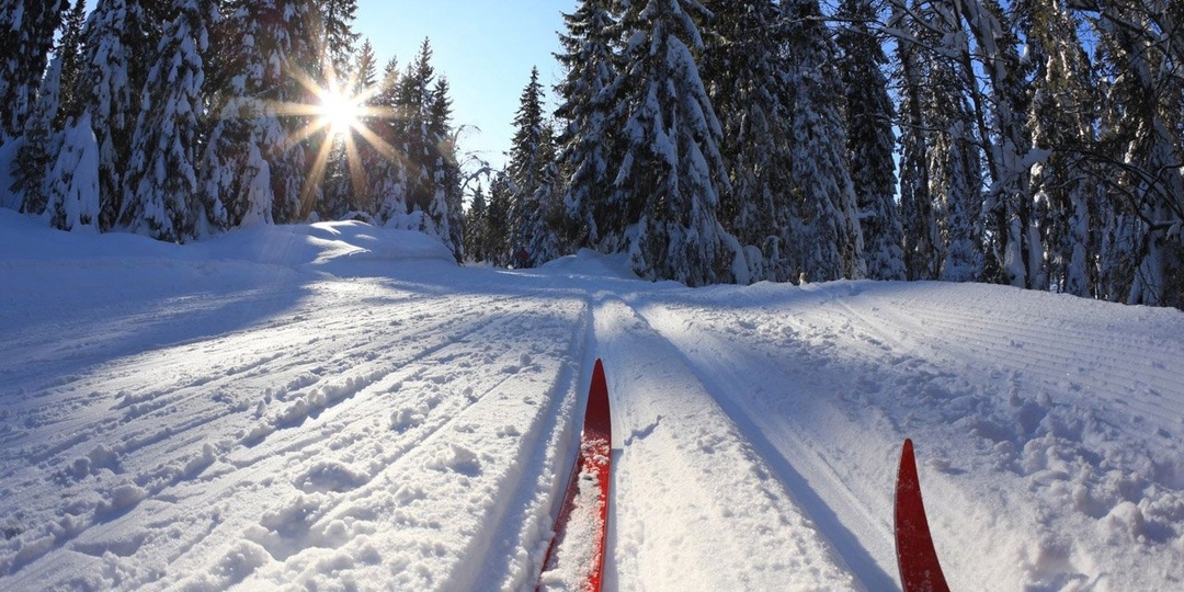 Российский лыжник Коростелев финишировал 15-м в гонке на 10 км на Олимпиаде