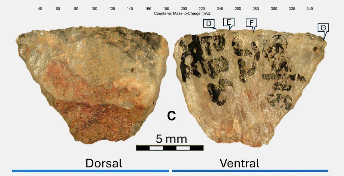     Фото: Science Advances Наконечники стрел