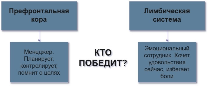 Противостояние двух систем в нашем мозгу