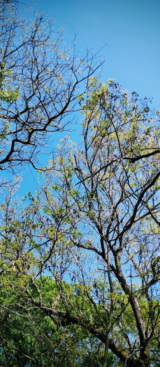 Если вы чувствуете, что постоянно живёте на пределе, и никакие 15 минут не спасают — возможно, дело не в способах отдыха, а в том, что вы слишком много на себя берёте.