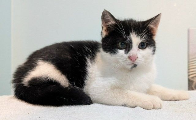 Москва и МО