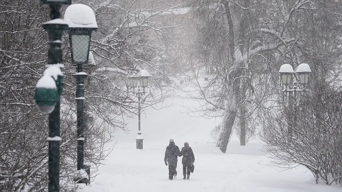    Фото: vm.ru Анна Тихомирова