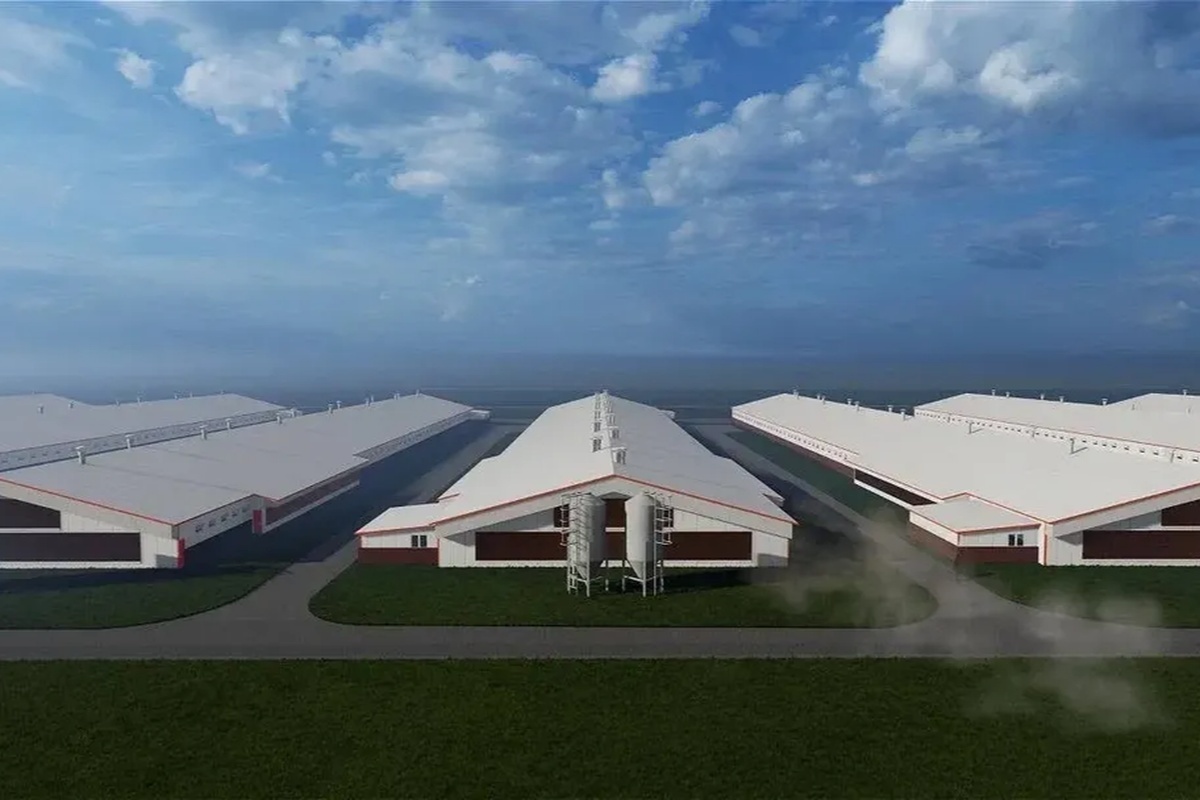    Фото: пресс-служба губернатора Московской области