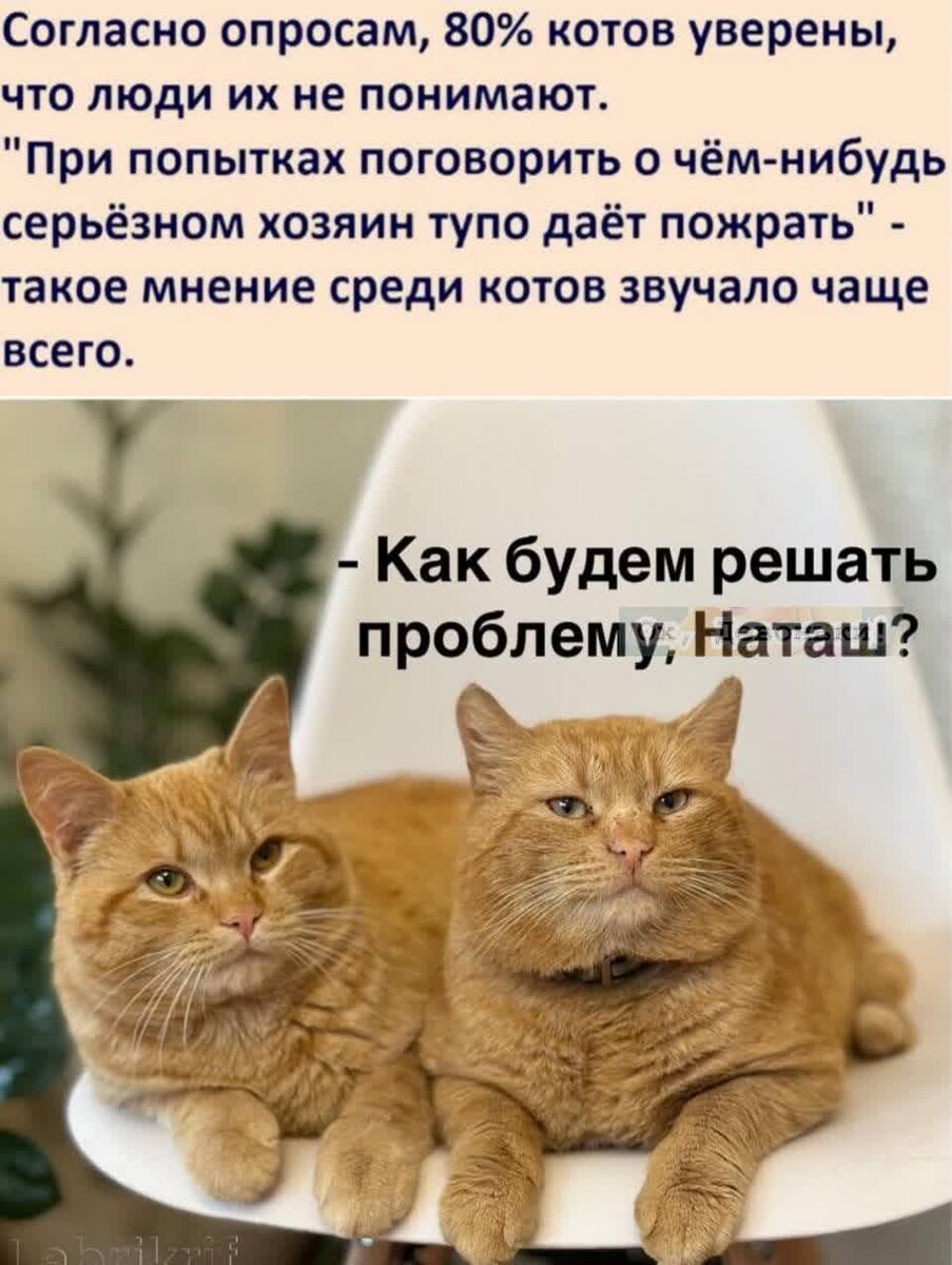 источник Яндекс-картинки