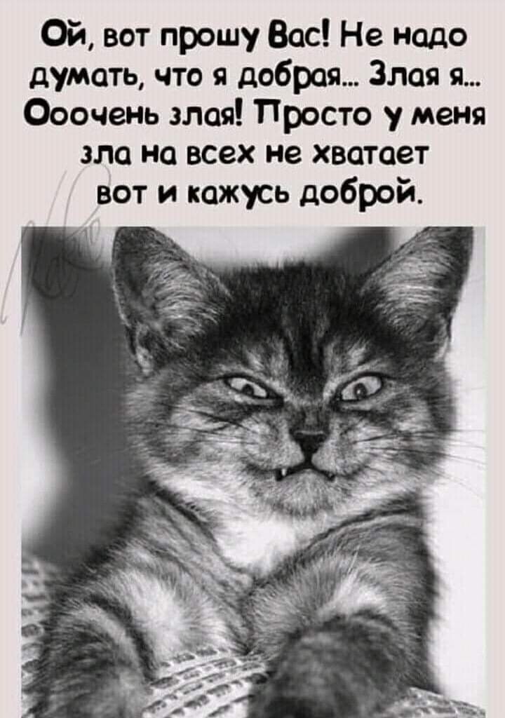 источник Яндекс-картинки