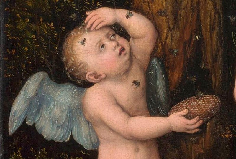 Дон Кихот и свободноживущие пчёлы