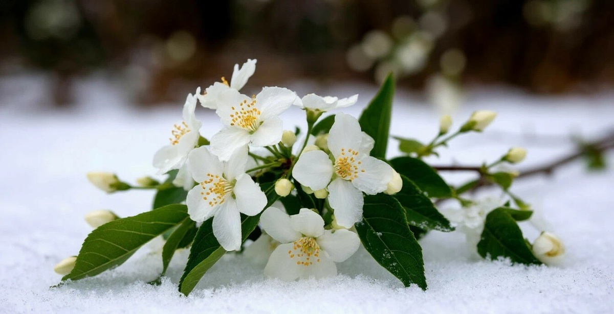 Картинка сгенерирована нейросетью