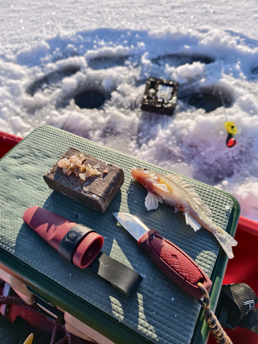 фото: Дмитрий Архипов