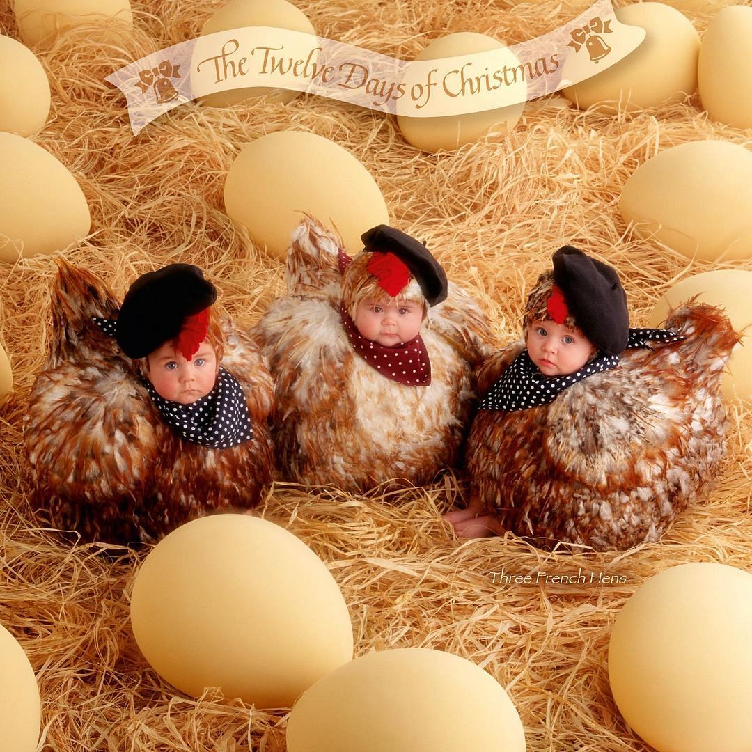 Фото Энн Геддес