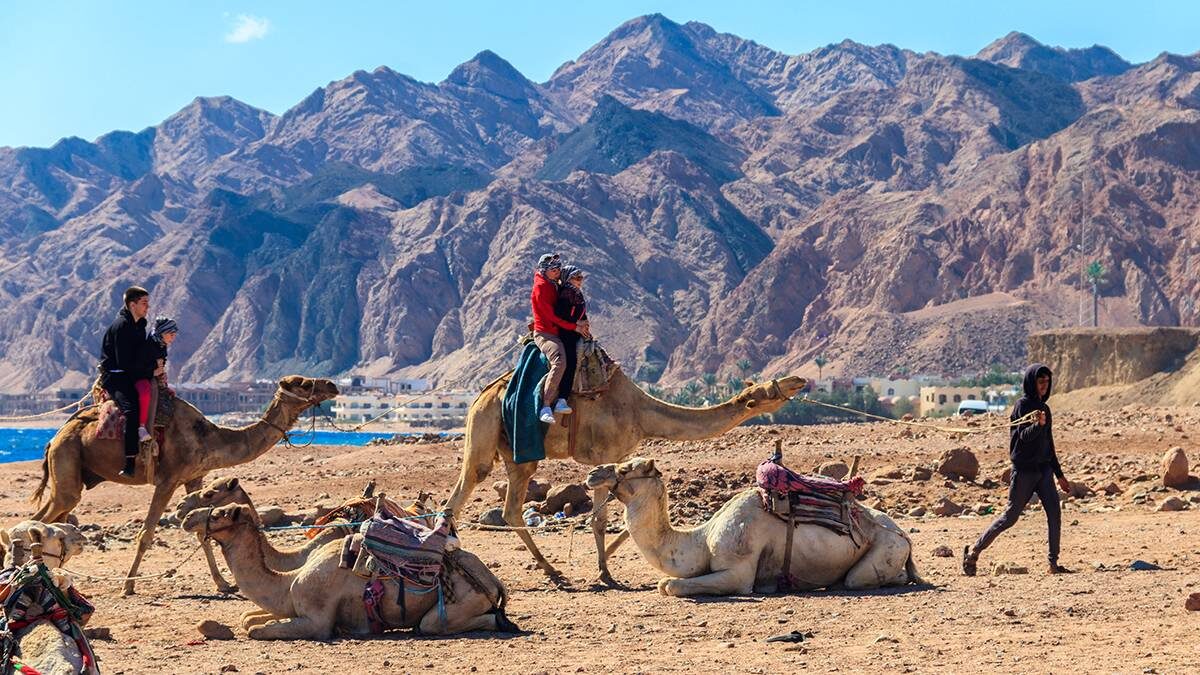    Фото: shutterstock