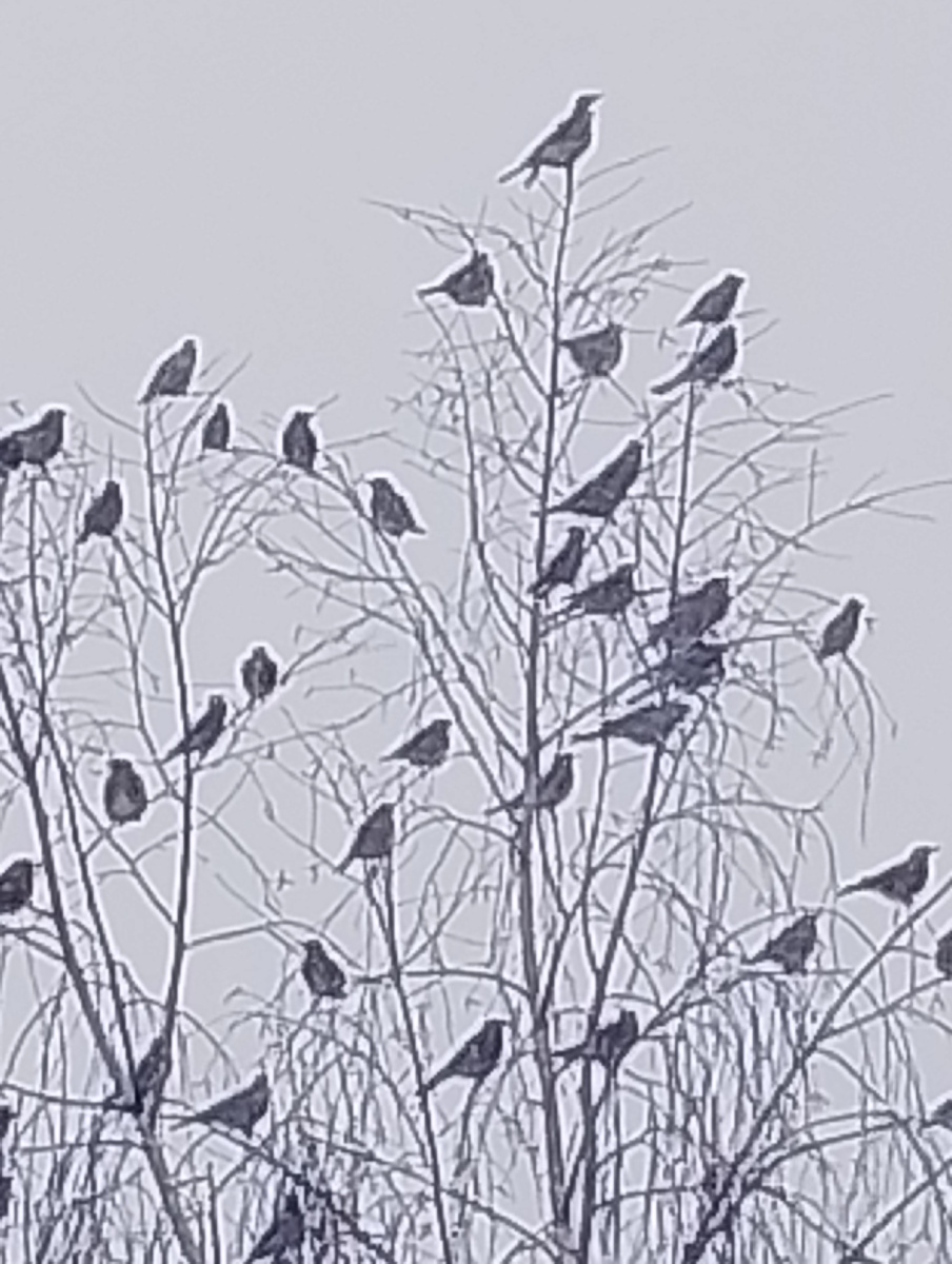 Личное фото.