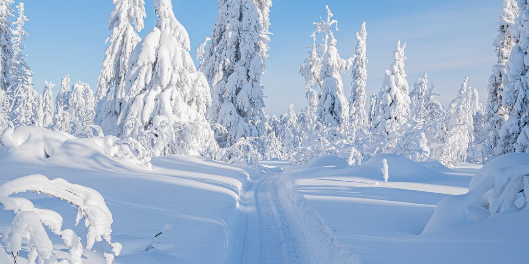 Наше путешествие в зимнюю сказку