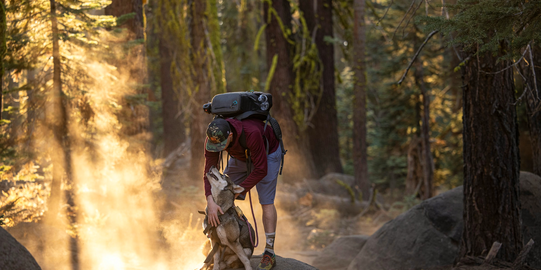 Что такое дог-трекинг и где им заняться в России