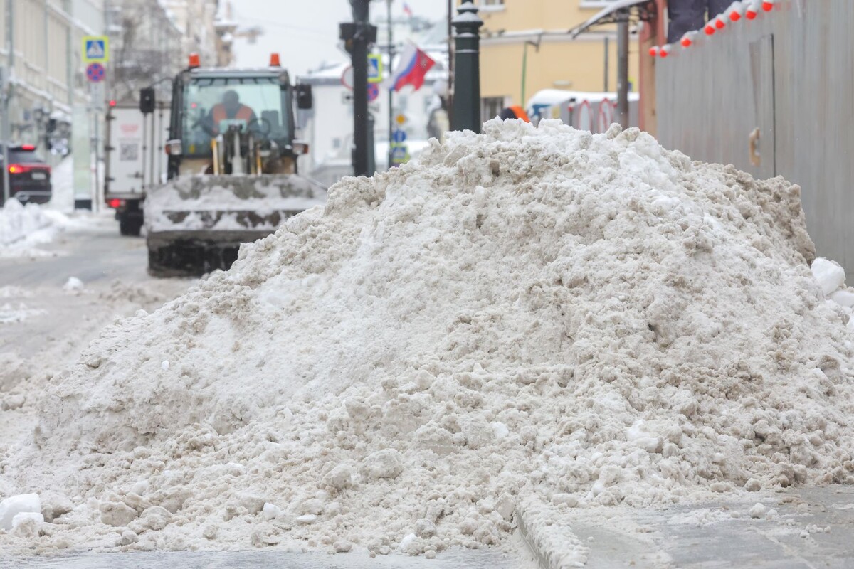     / Источник: © Shatokhina Natalia/Global Look Press