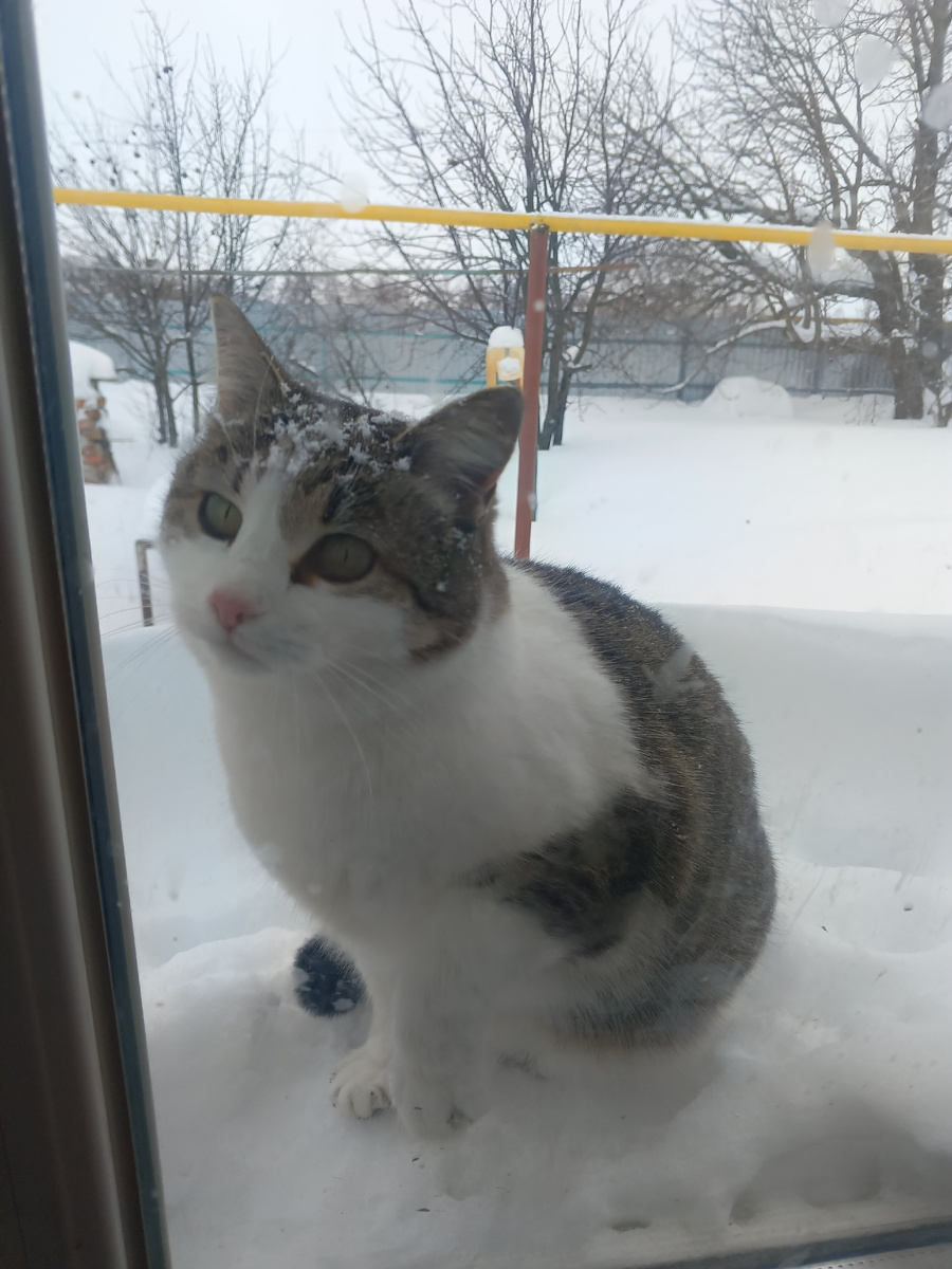 Заснеженная Дунечка