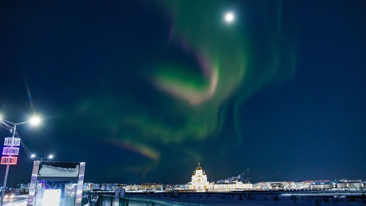    Фото: Федор Воронов / «Ямал-Медиа»