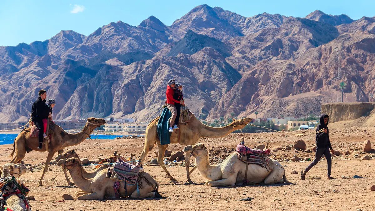    Фото: vm.ru Артем Белов