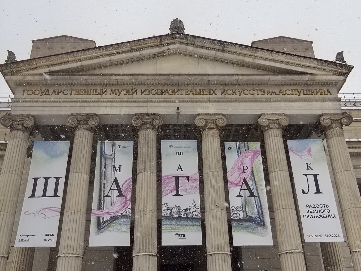 Февраль. ГМИИ им. А.С. Пушкина, г. Москва. 