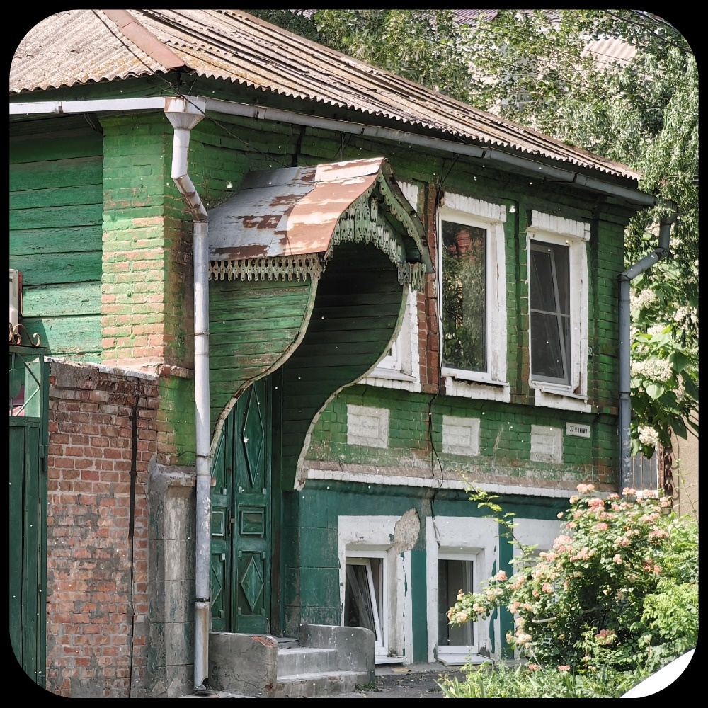 Где-то набегу сфоткала этого красавца. 