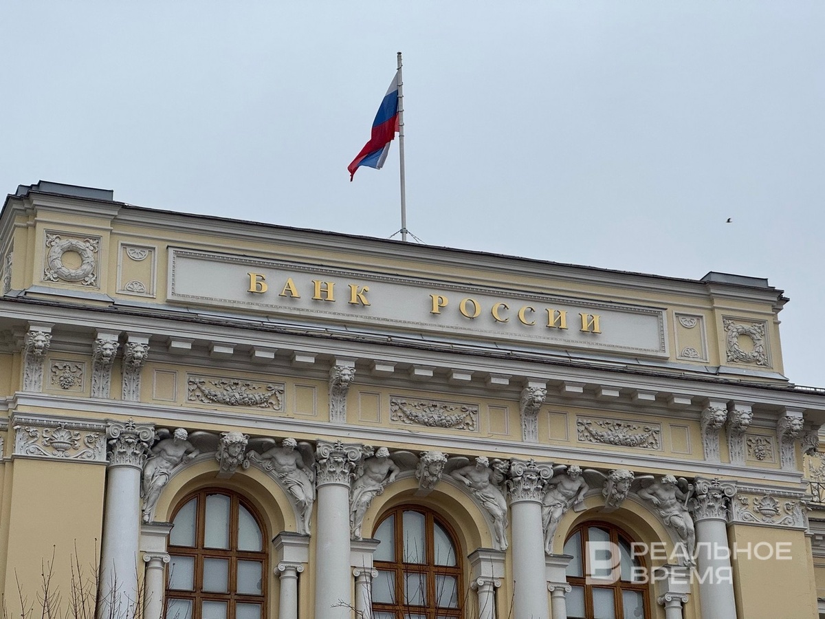   Дарья Пинегина / realnoevremya.ru