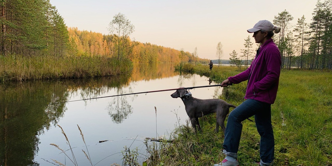 С собакой – на рыбалку: как обезопасить питомца от блох и клещей