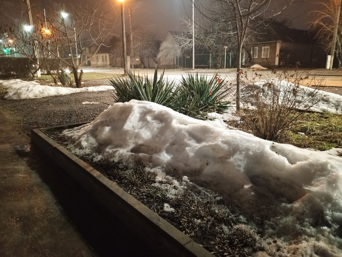 Фото автора.