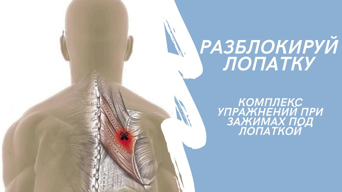 Упражнения для запуска скольжения лопаток