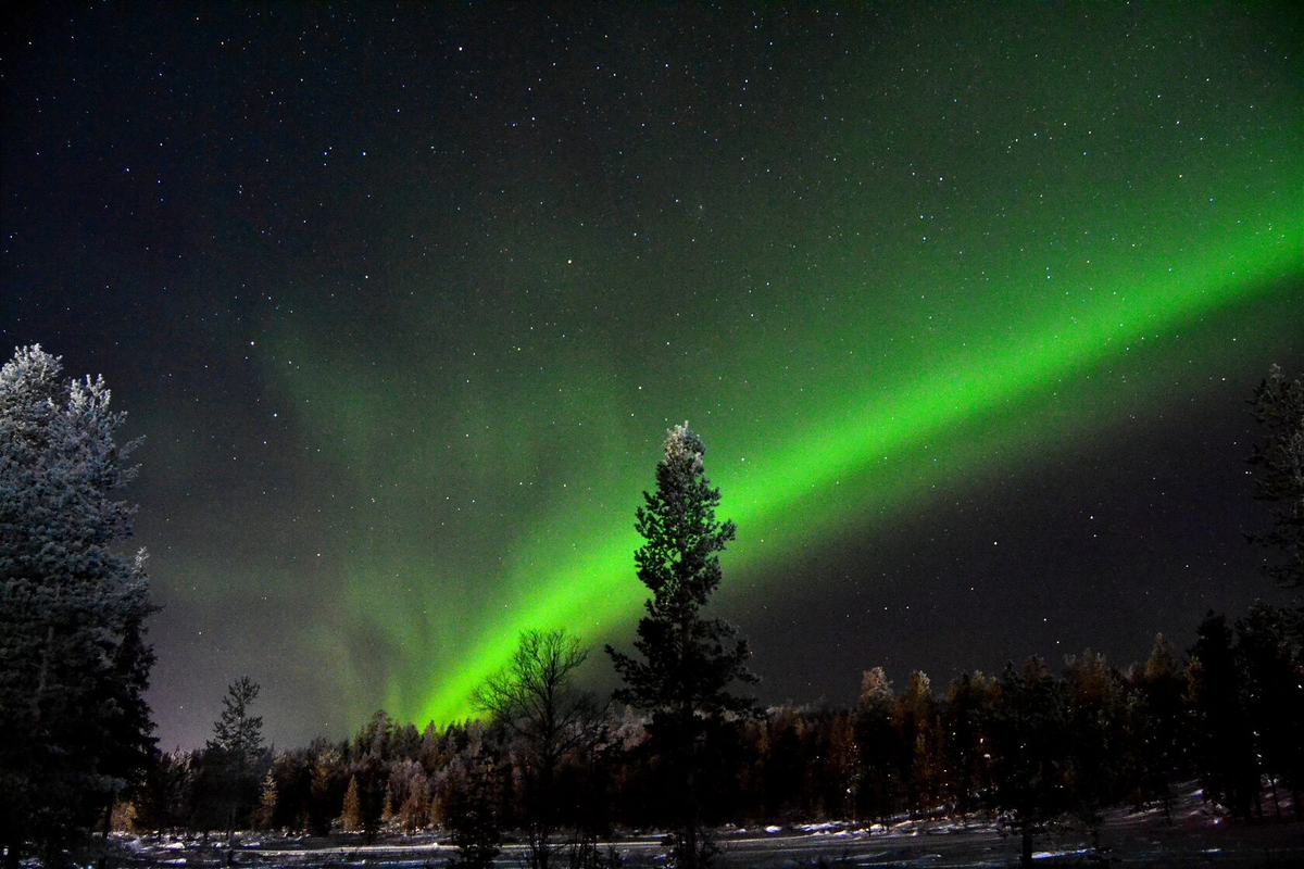 (источник: severe-land.com)