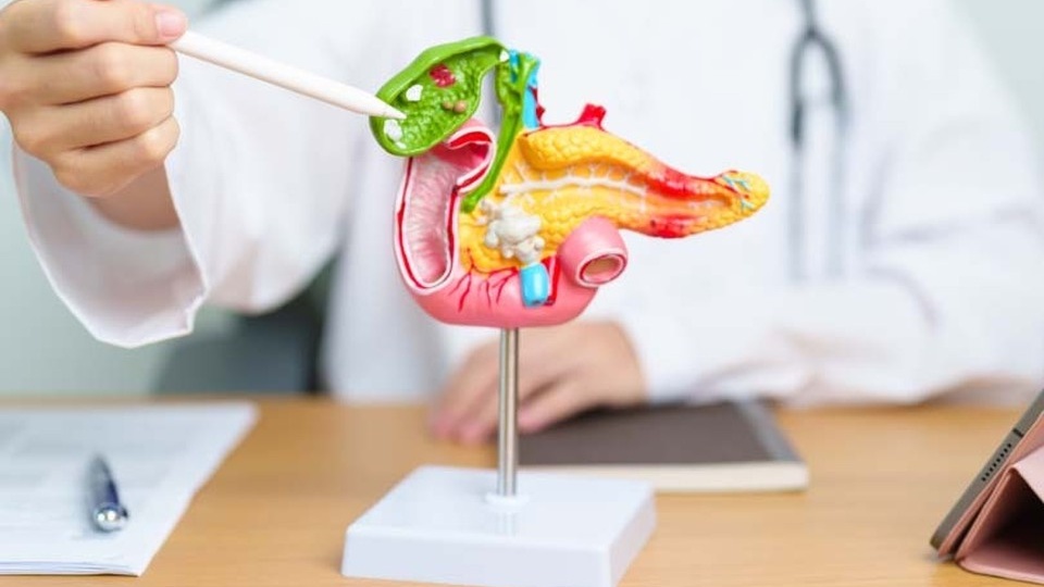 Врач рассказала, как бороться с застоем желчи