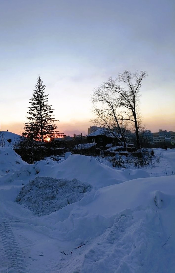Видели, сколько снега? Это я ешё в январе снимала. 