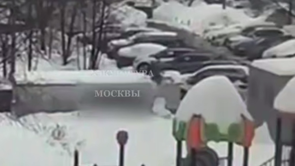    Фото: Скриншот видео / Прокуратура Москвы / Telegram