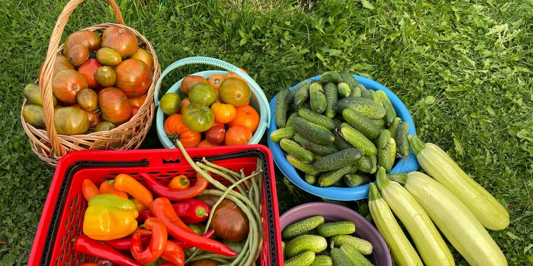 ГУМИ и ГУМАТ: в чем разница?