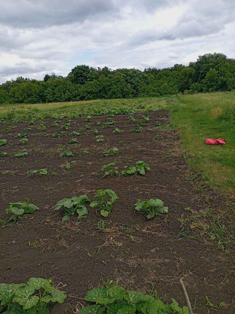 курточка моя валяется сбоку ))