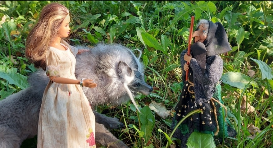 Волк, Тереза и Ёжка. Фото автора канала.