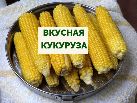 вкусная кукуруза