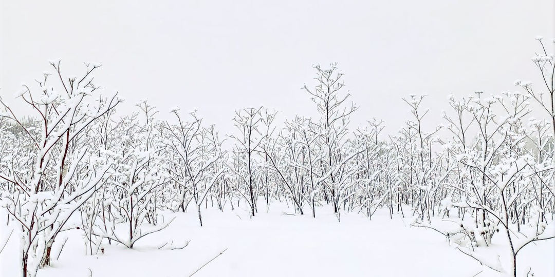 "В белом безмолвии — мир как на краю