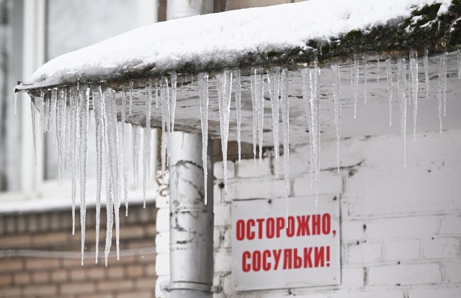     / Источник: © Кирилл Каллиников/РИА Новости