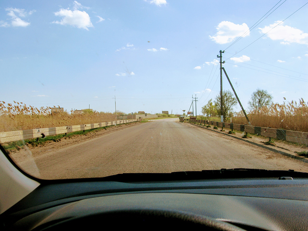 Фото 2018 г. А камыш как рос, так и растет по обочинам