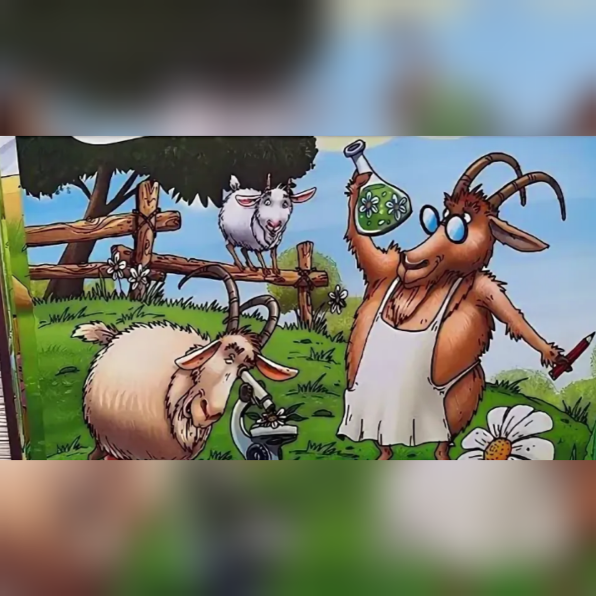 Картинка из интернета