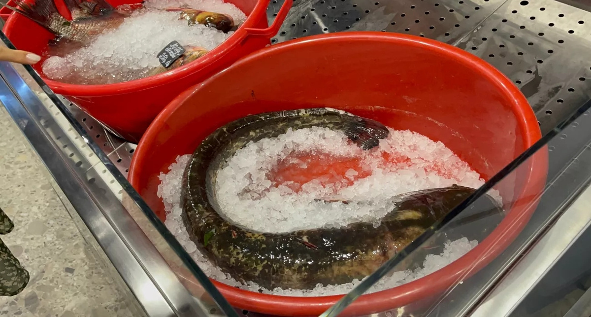    Из архива "Про Город"