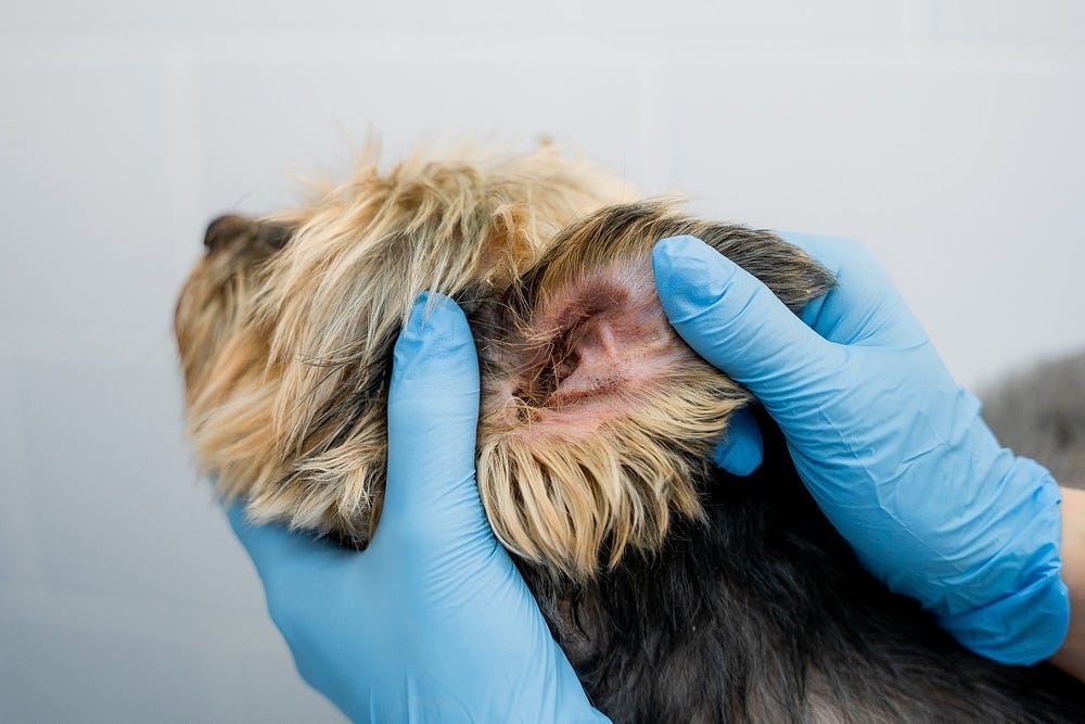 Создать карусель