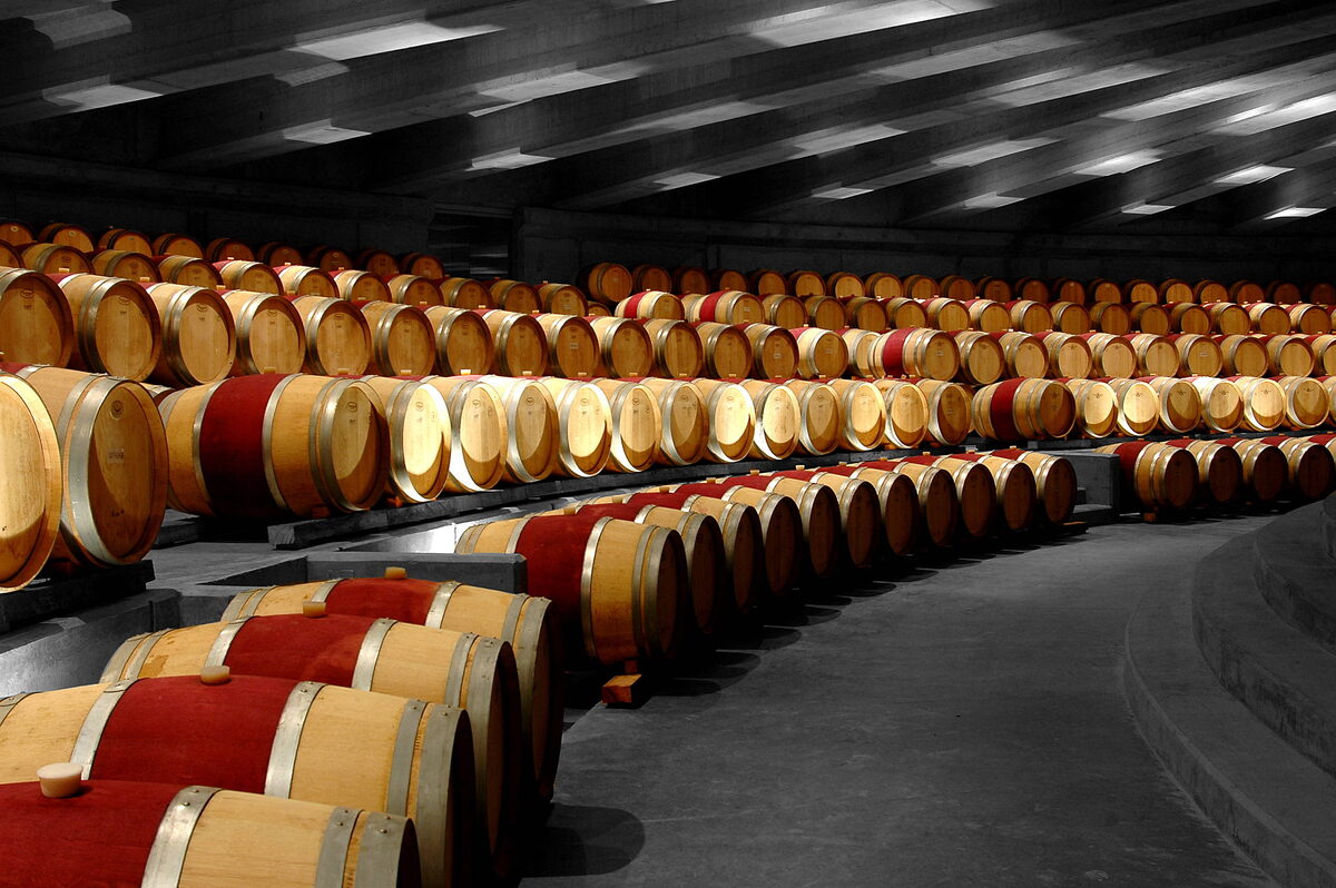 Длинная, но короткая: история выдержки вина в деревянных бочках. Погреб чилийской винодельни Montes by caxap and wine