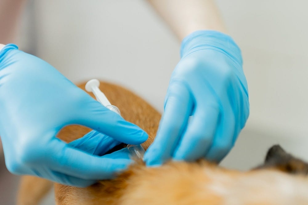 Создать карусель