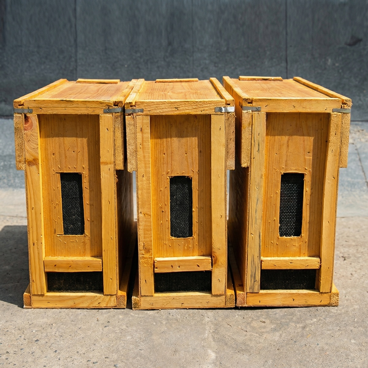 Пчелопакет 4-х рамочный 2026 года Карника из Беларуси