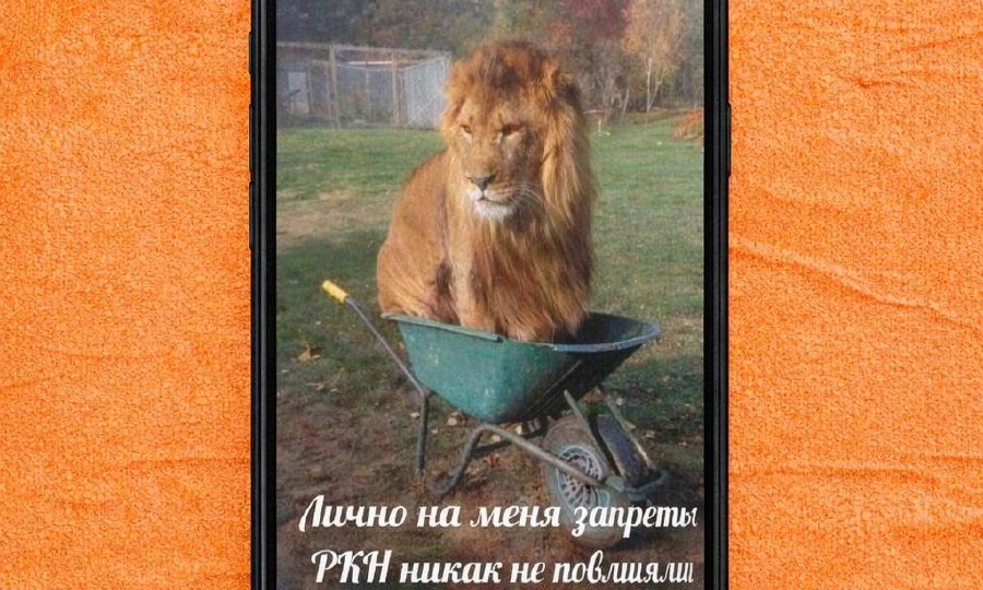 Главное в России и вокруг за неделю (6–13 февраля 2026