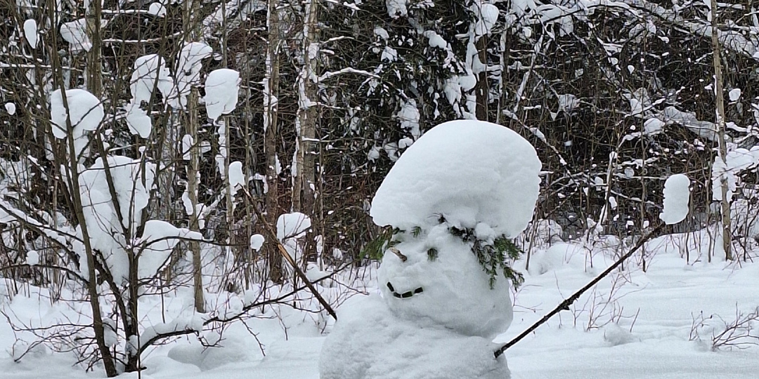 В Заречном парке что-нибудь, да удивляет!