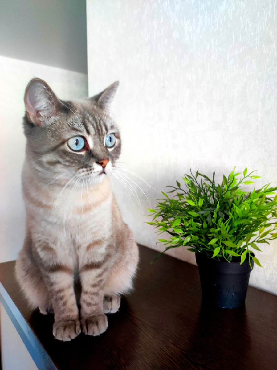 Фото автора 