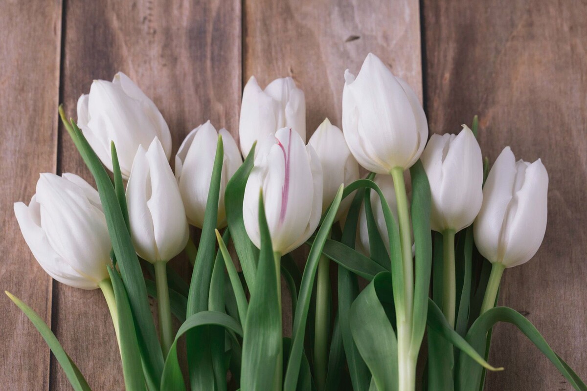  © Heather Newsom, Unsplash.com