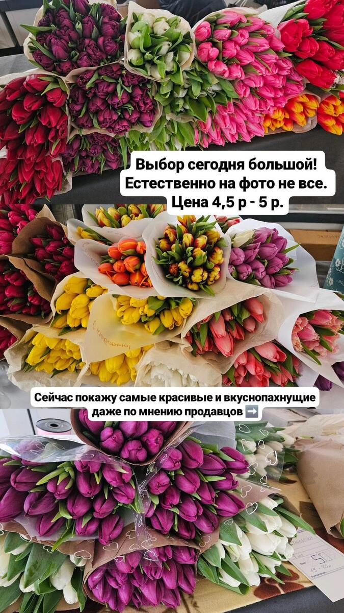  © komarovka.by, Instagram